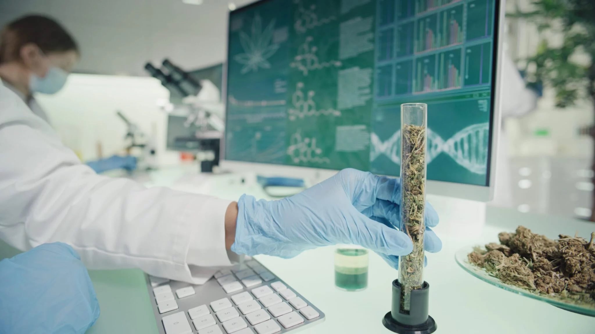 Should Your Cannabis Company Build Its Own Testing Lab? Cannabis