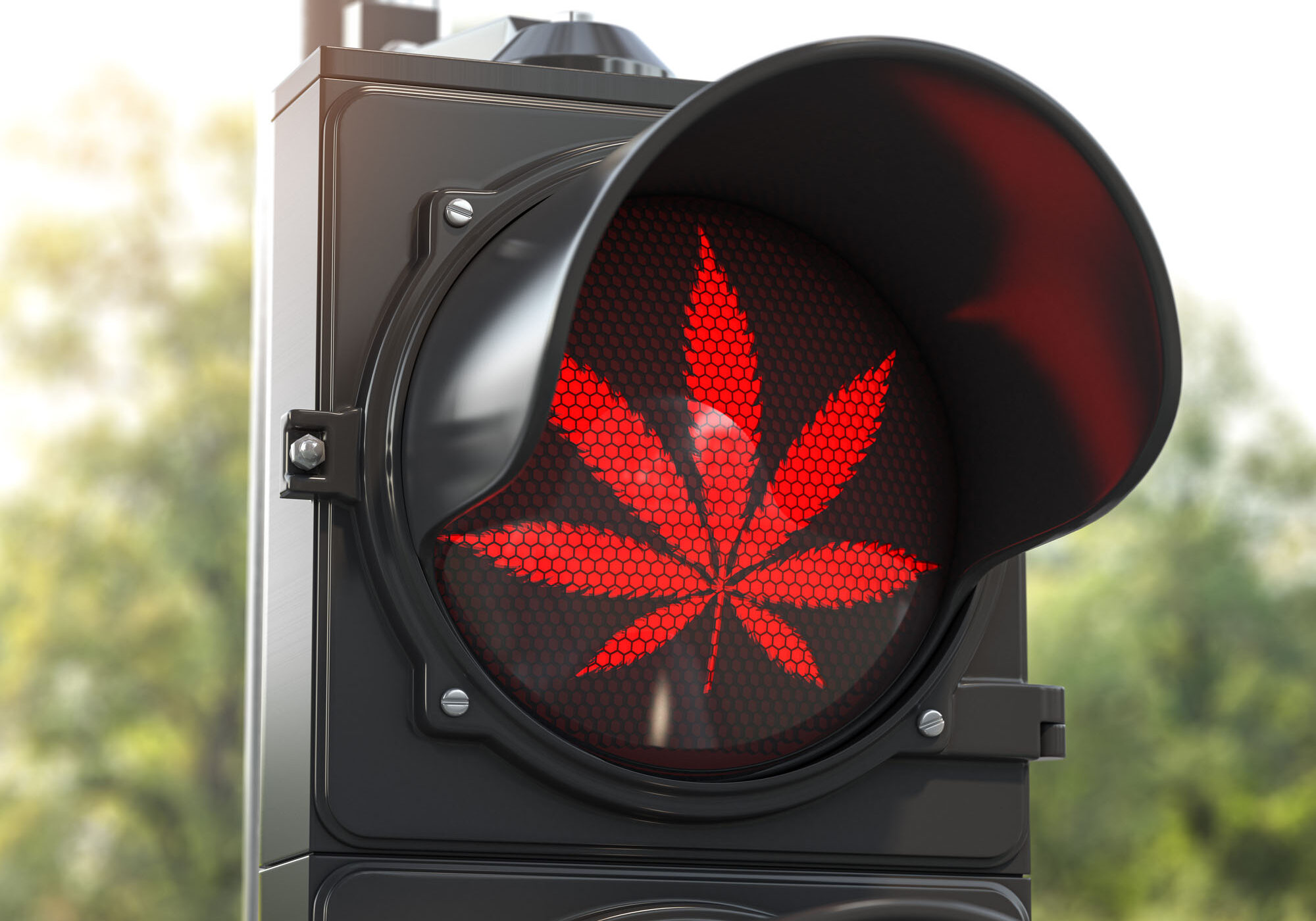 Cannabis leaf on red traffic light. Cannabis and marijuana prohibition concept. 3d illustration