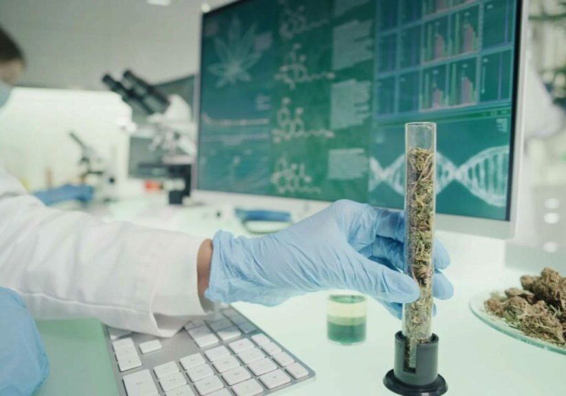 Should-Your-Cannabis-Company-Build-Its-Own-Testing-Lab_-2048x1152